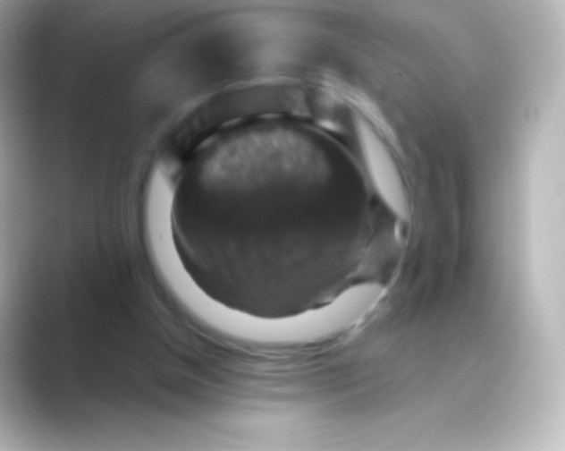 X0000088690154200706211933