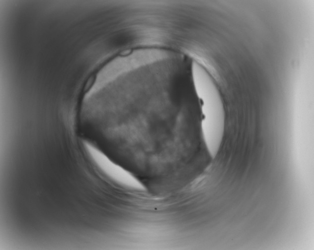 X0000088690156200706211933