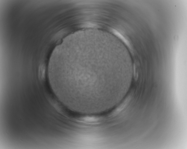 X0000088690157200706211933