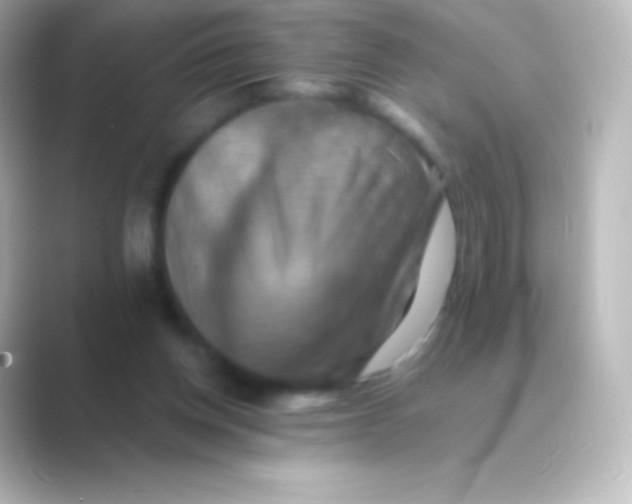 X0000088690158200706211933
