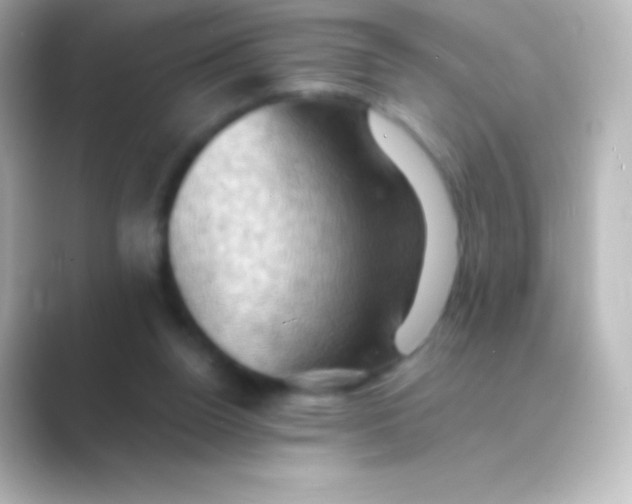X0000088690160200706211933