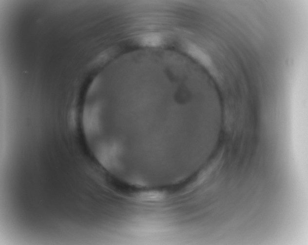 X0000088690161200706211933