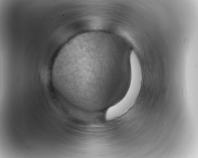 X0000088690164200706211933