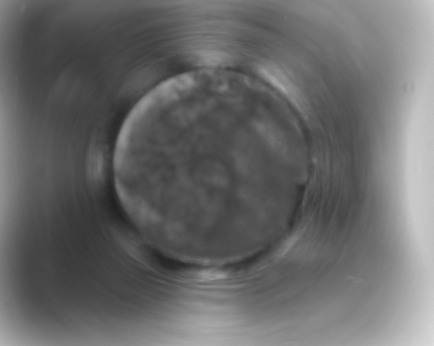 X0000088690165200706211933