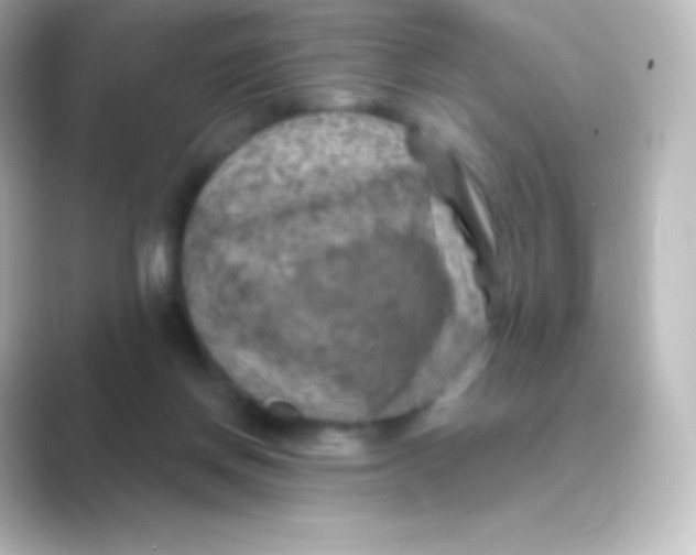 X0000088690166200706211933
