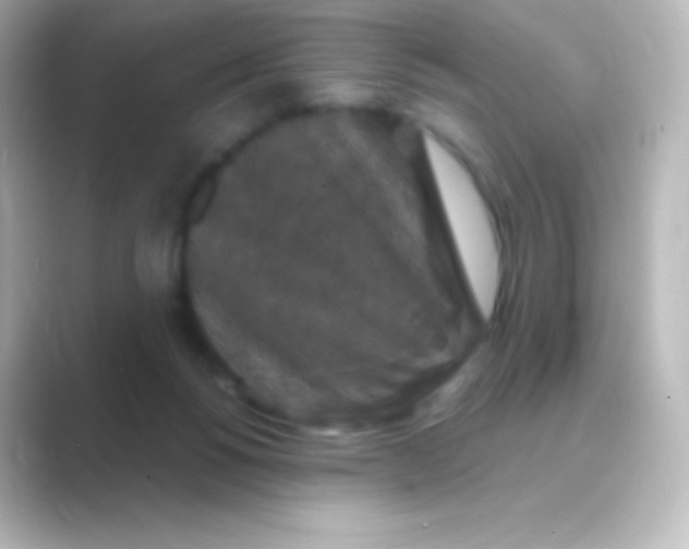 X0000088690168200706211933