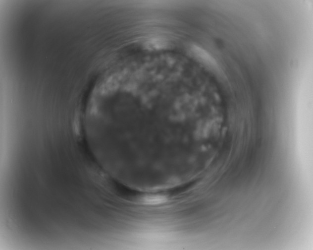 X0000088690169200706211933