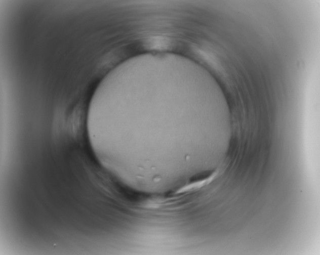 X0000088690171200706211933