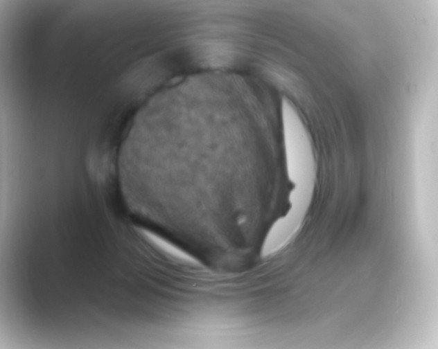 X0000088690172200706211933