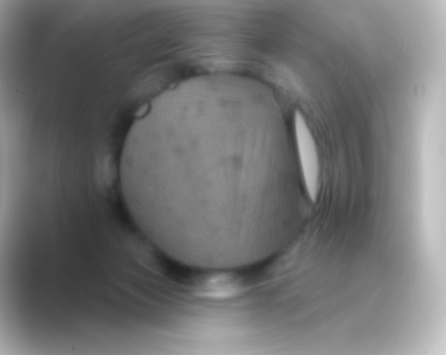 X0000088690173200706211933