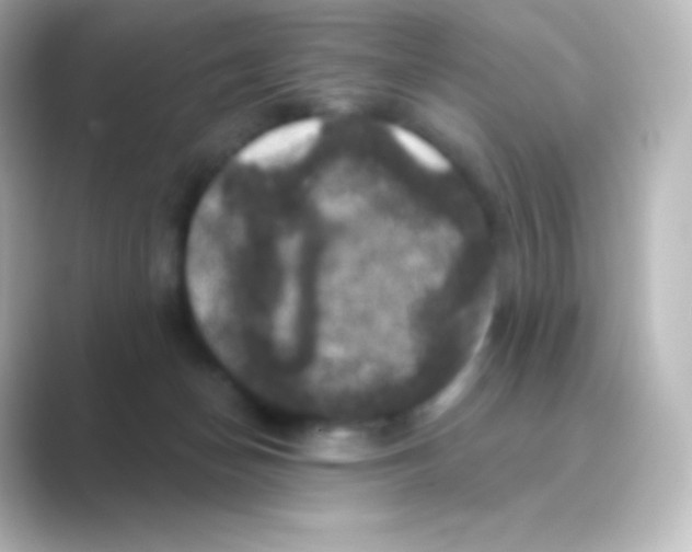 X0000088690174200706211933