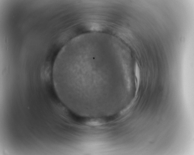 X0000088690175200706211933