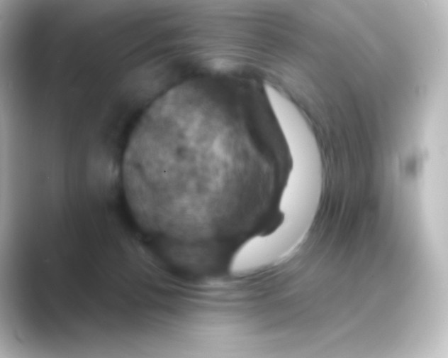 X0000088690176200706211933