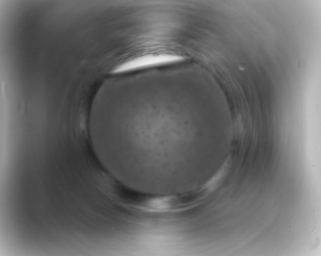 X0000088690178200706211933