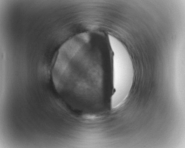 X0000088690180200706211933