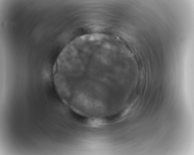 X0000088690181200706211933