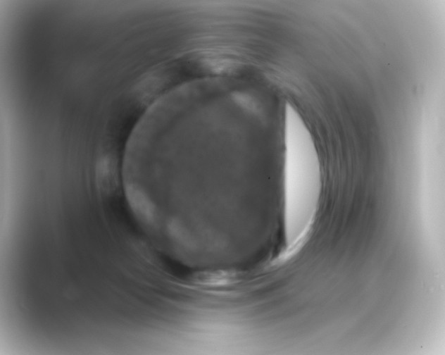 X0000088690182200706211933