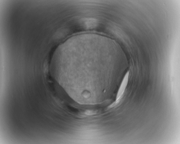 X0000088690184200706211933