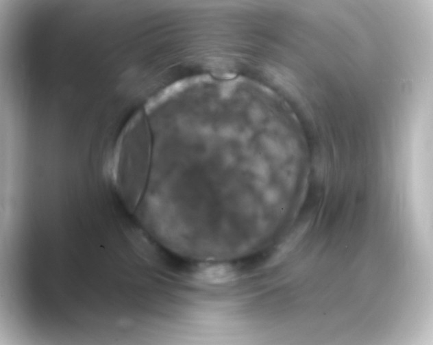 X0000088690185200706211933