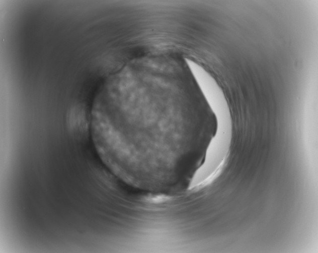 X0000088690186200706211933