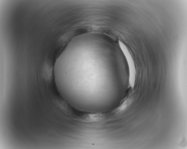 X0000088690188200706211933