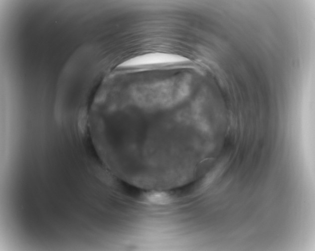 X0000088690189200706211933