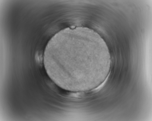 X0000088690190200706211933
