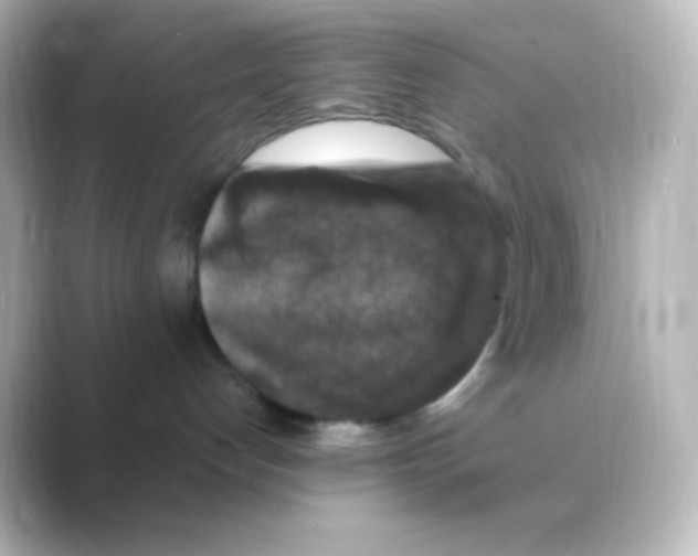 X0000088690192200706211933