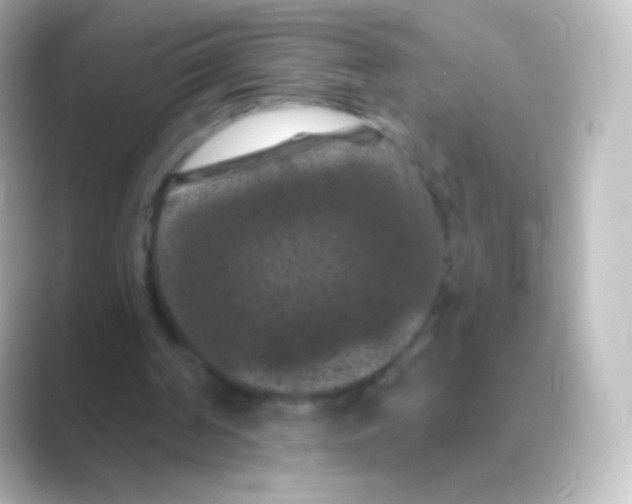 X0000088690194200706211933