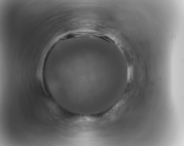 X0000088690195200706211933