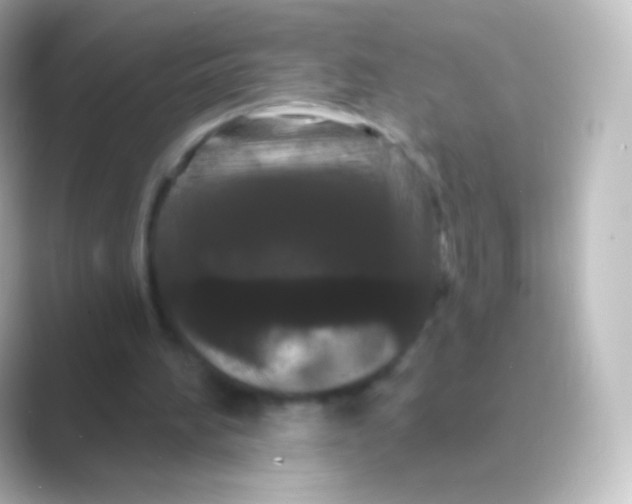 X0000088690196200706211933