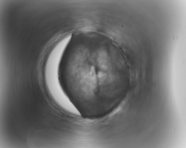 X0000088690197200706211933