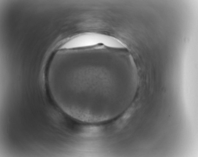X0000088690198200706211933