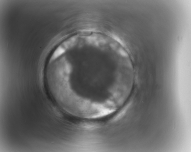 X0000088690199200706211933
