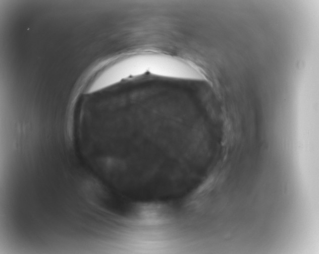 X0000088690200200706211933