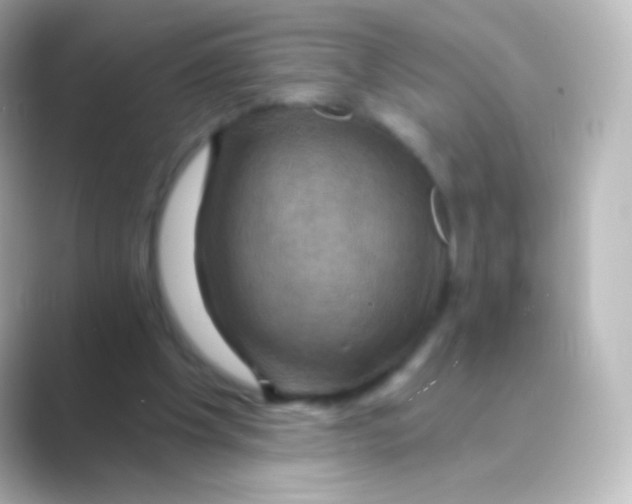 X0000088690201200706211933