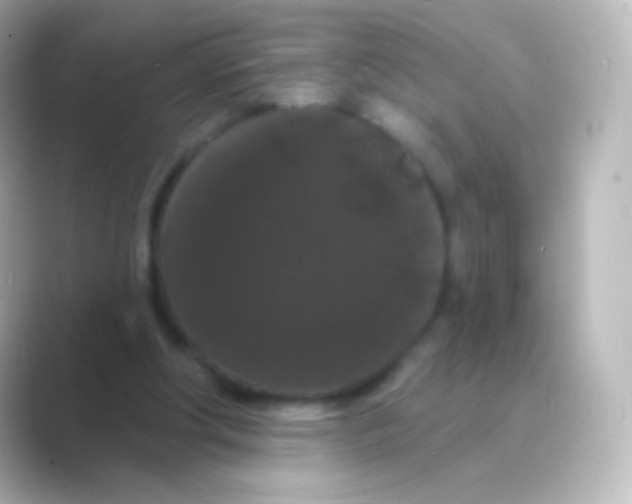 X0000088690202200706211933
