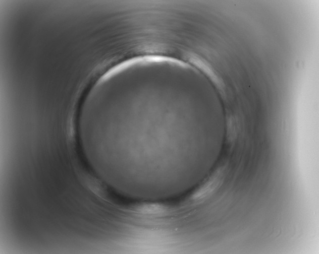 X0000088690203200706211933