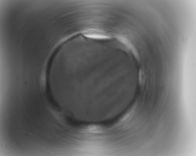 X0000088690204200706211933