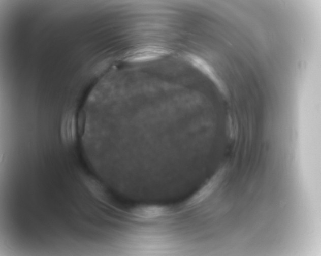 X0000088690205200706211933
