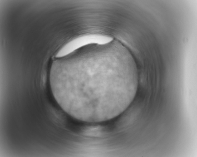 X0000088690206200706211933