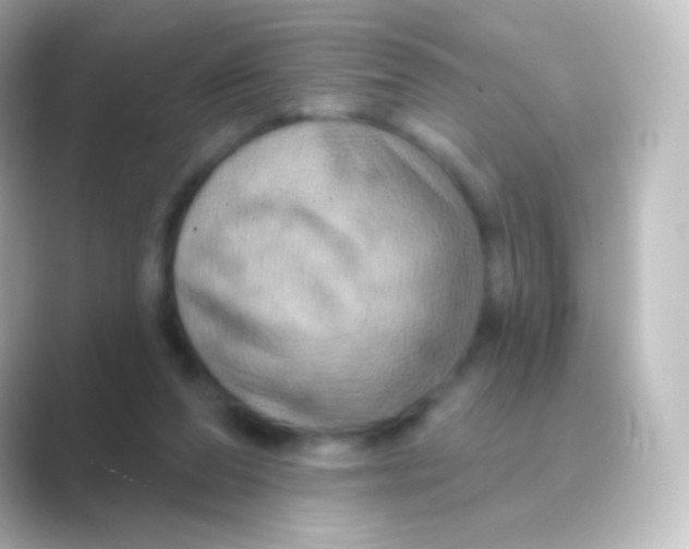 X0000088690208200706211932