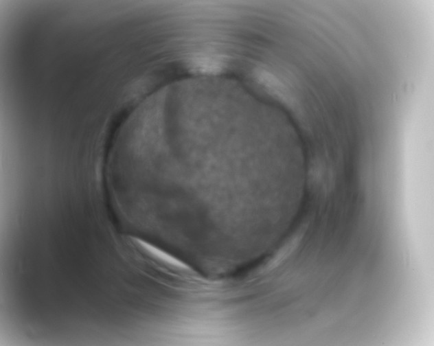 X0000088690209200706211932