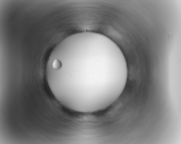 X0000088690210200706211932