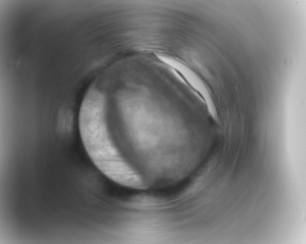 X0000088690211200706211932