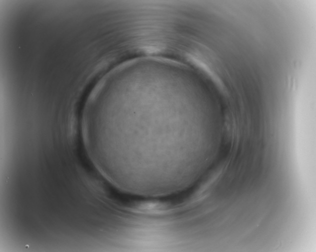 X0000088690212200706211932