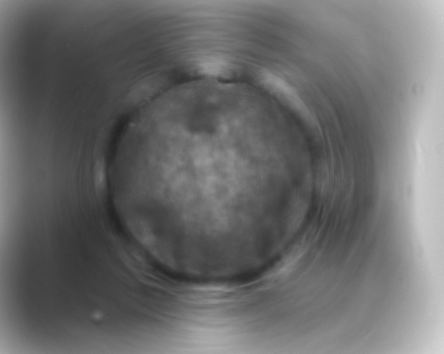 X0000088690213200706211932