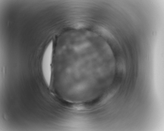 X0000088690214200706211932
