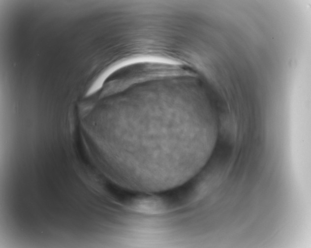 X0000088690215200706211932