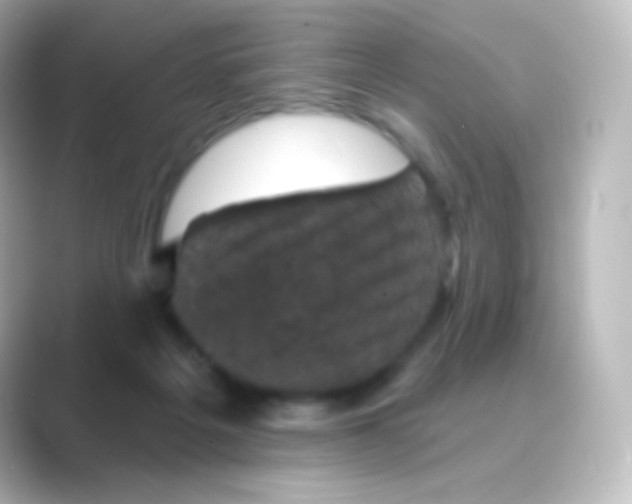 X0000088690217200706211932